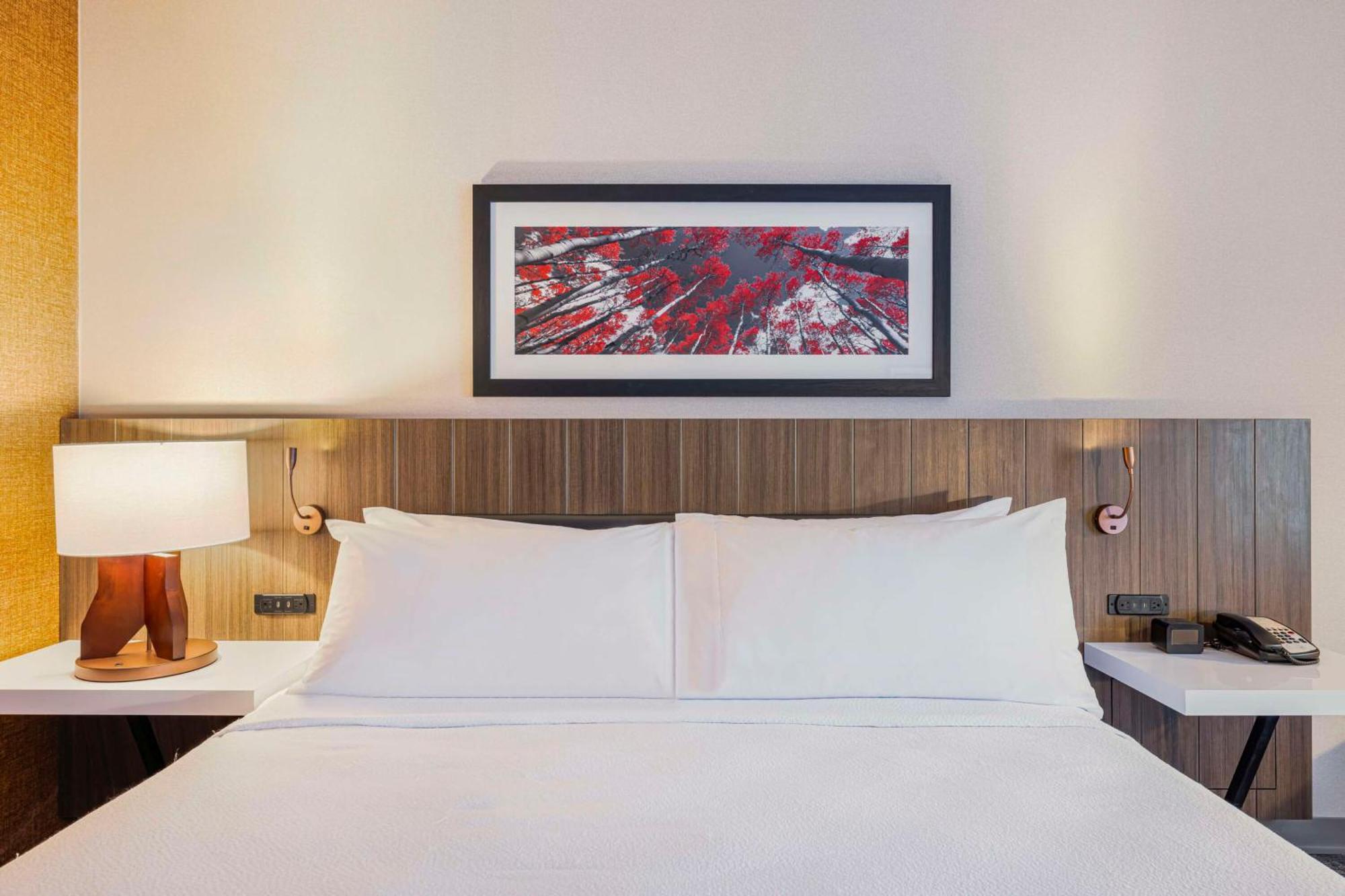 Hilton Garden Inn Colorado Springs Airport Luaran gambar